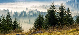 Lonely Planet v roce 2016 doporučuje navštívit Botswanu, Rumunsko a Černou Horu