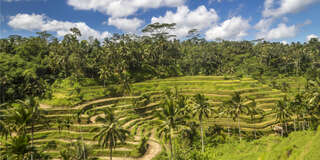 Jíst, meditovat a mlčet: zasvěcené tipy, jak a kde si (potichu) užít relaxační pobyt