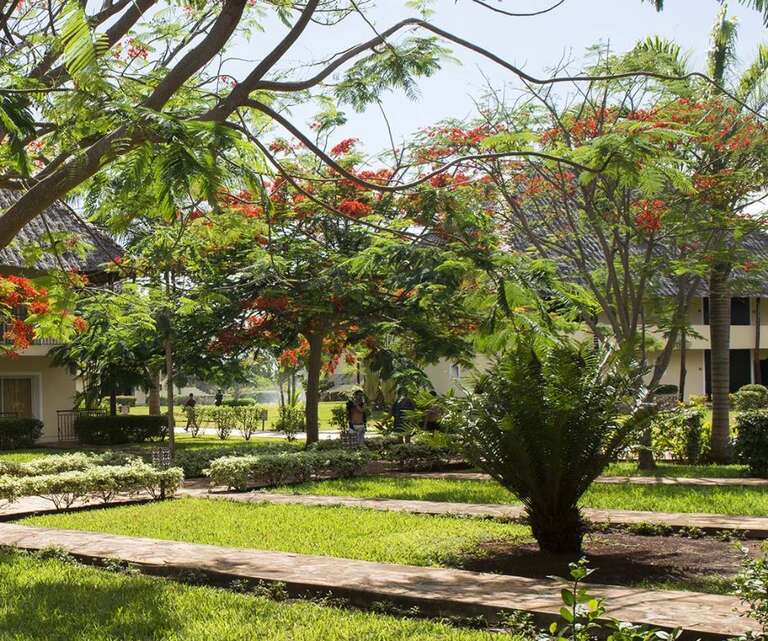Dream of Zanzibar 5*