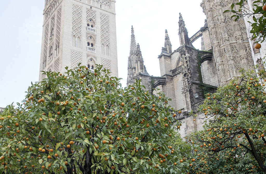 Sevilla 1