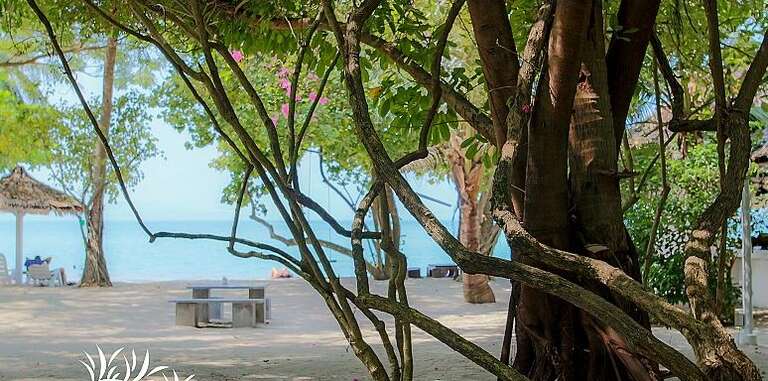 Milky Bay Resort 3*