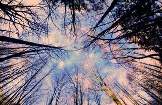 Komplexní pojištění EXTRA včetně COVID-19