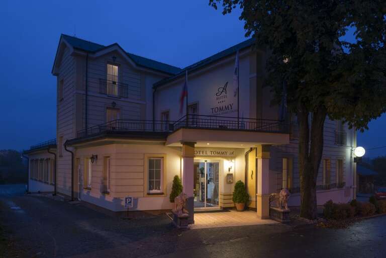 Hotel Tommy 3*