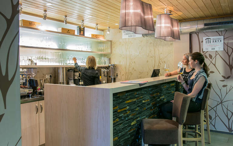 Horský hotel Čeladenka 4*