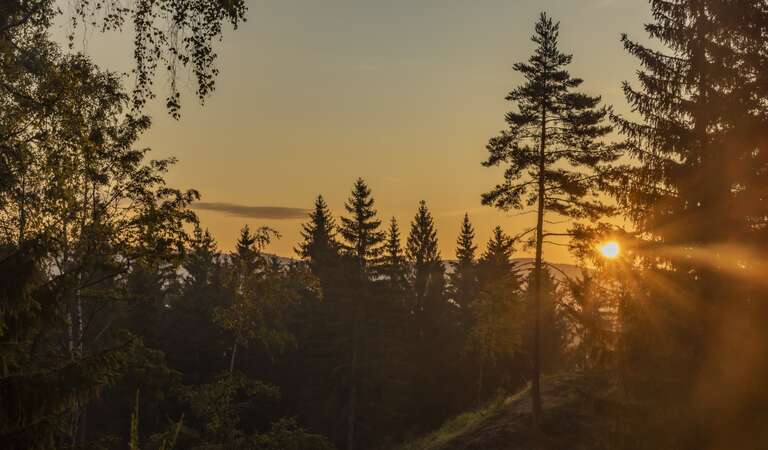 Pytloun Wellness Hotel Hasištejn 4*
