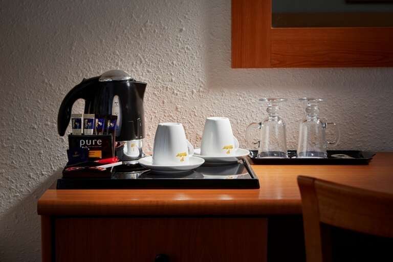 Villa Friedland 4*