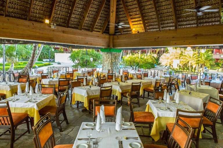 Coral Costa Caribe