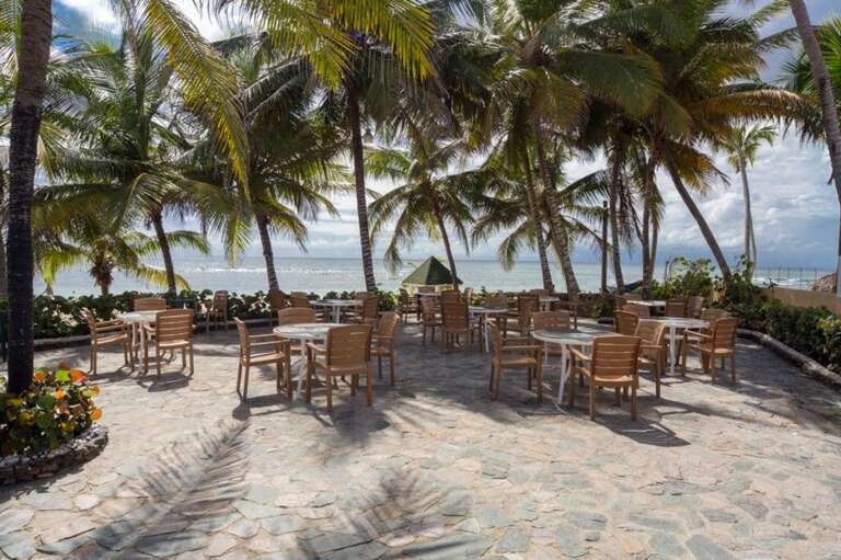 Coral Costa Caribe