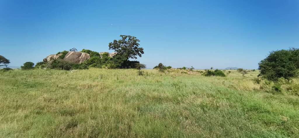 Tanzanie