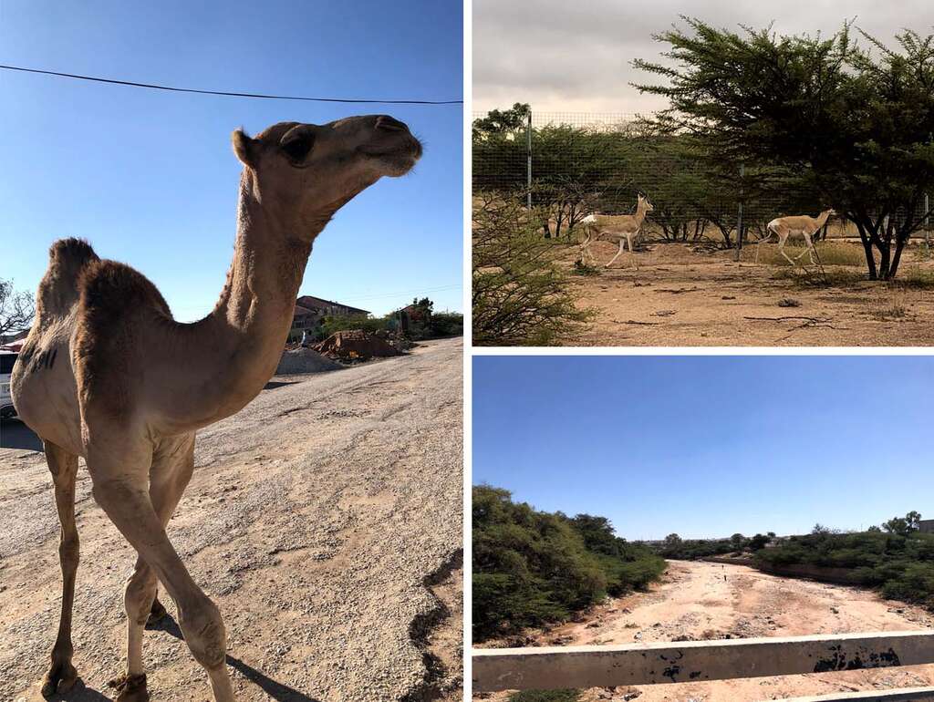 Somaliland