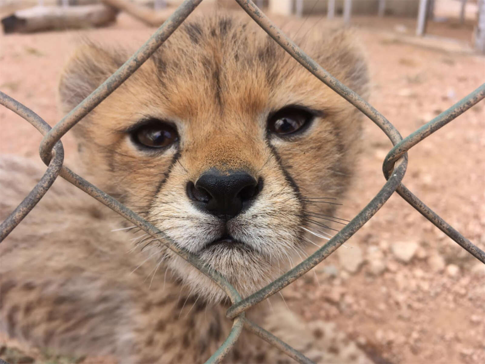Cestujete s námi – Somaliland