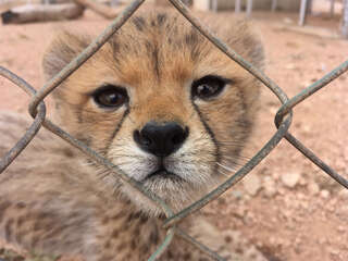 Cestujete s námi – Somaliland