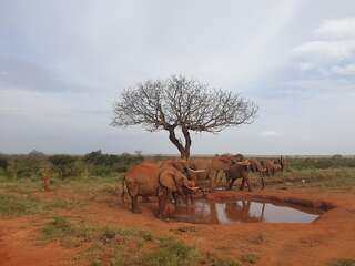 Cestujete s námi – Keňa
