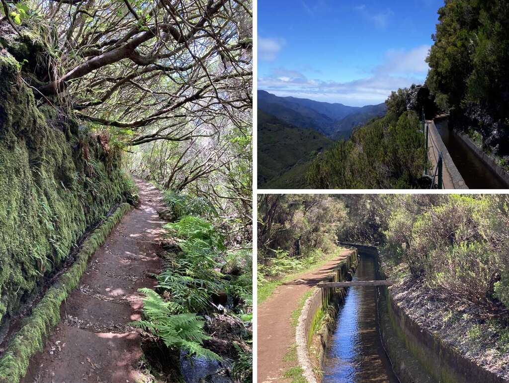 Madeira