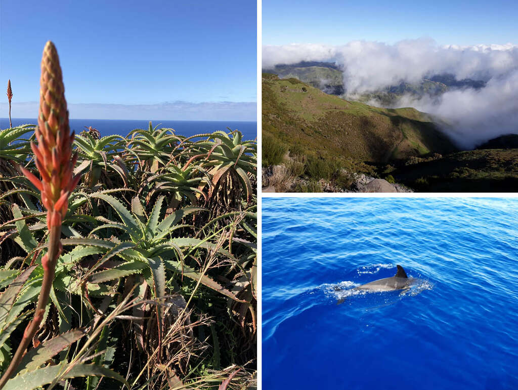 Madeira