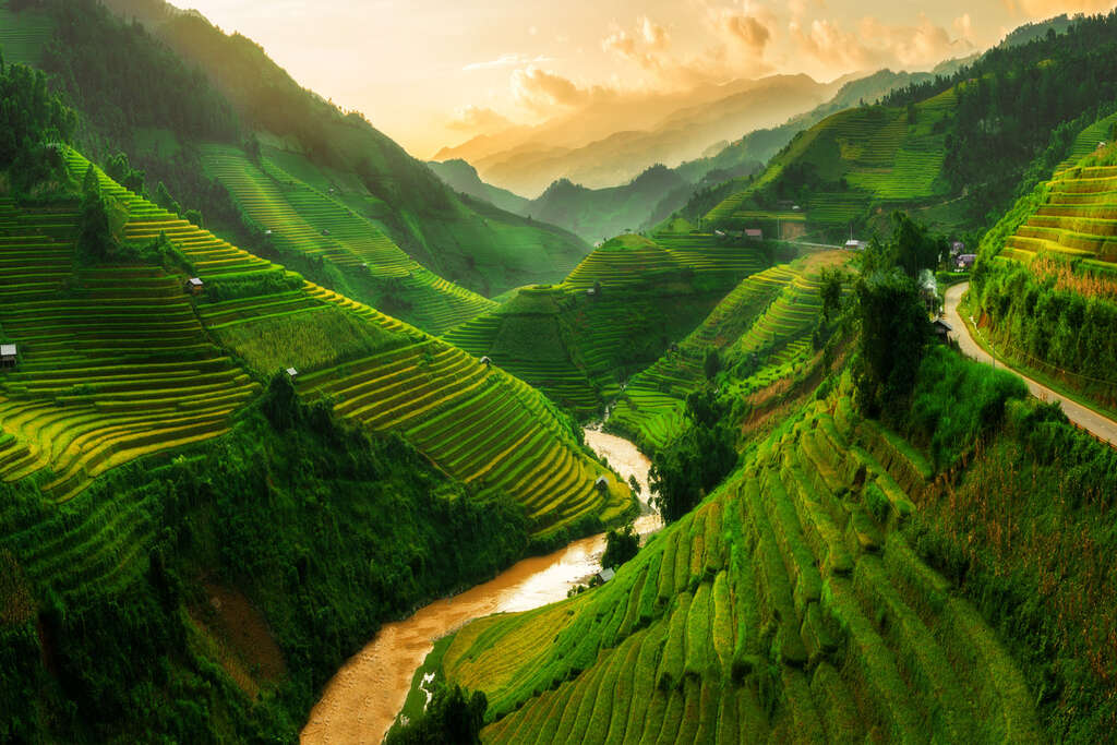 Vietnam