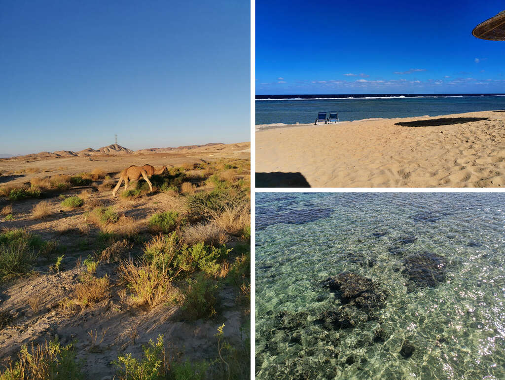 Marsa Alam