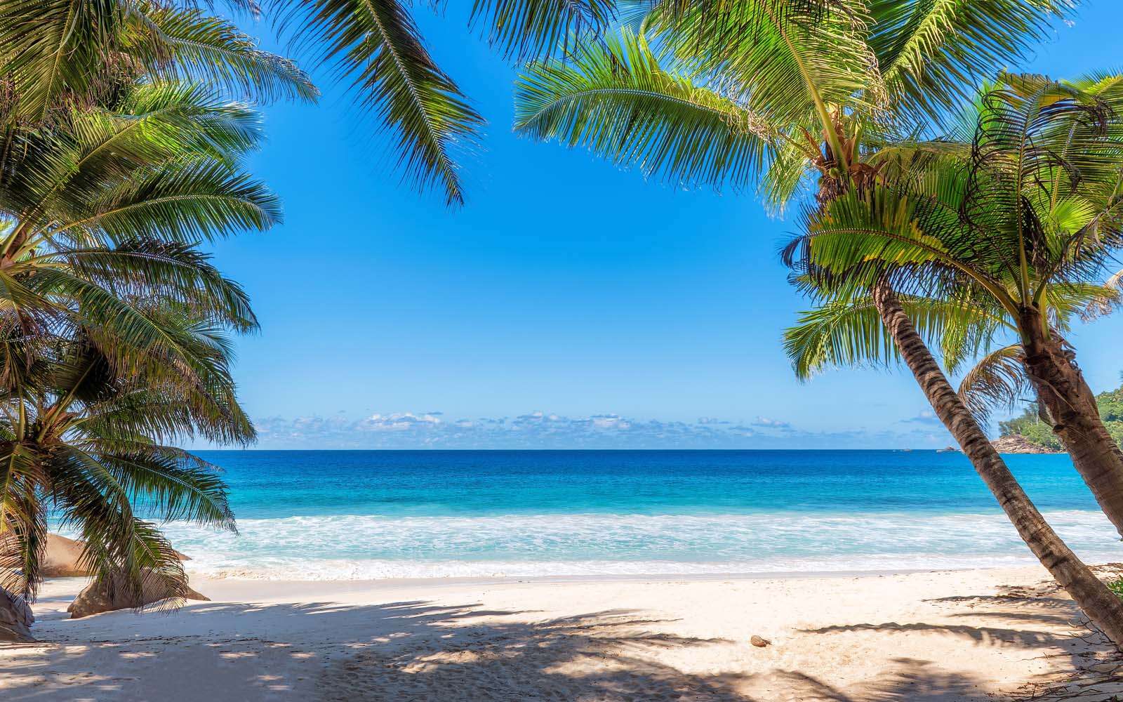 10 impulzů k návštěvě: Jamajka