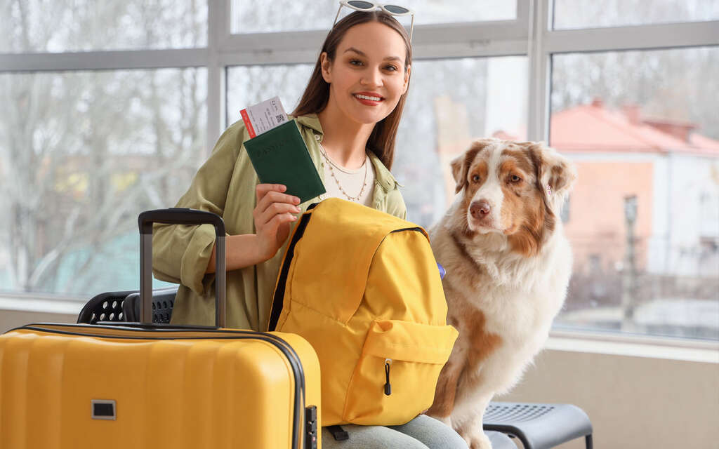 Cestujeme se zvířaty