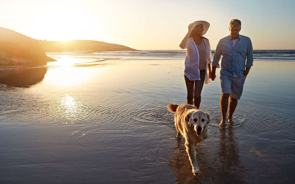 Cestujeme se zvířaty