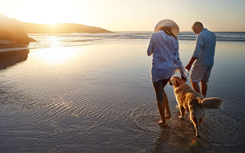 Cestujeme se zvířaty