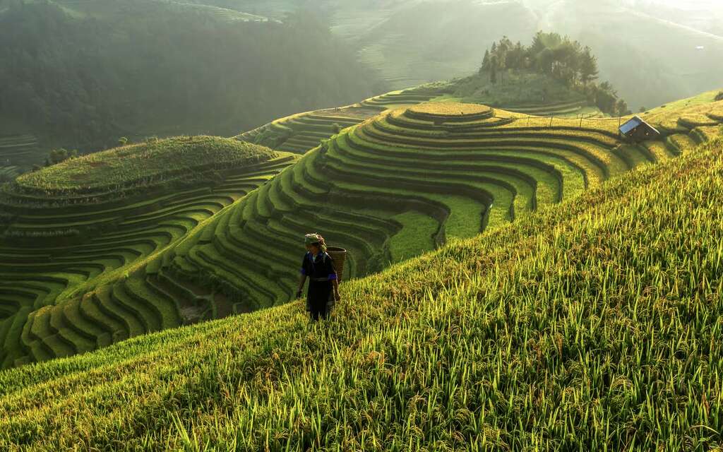 Vietnam