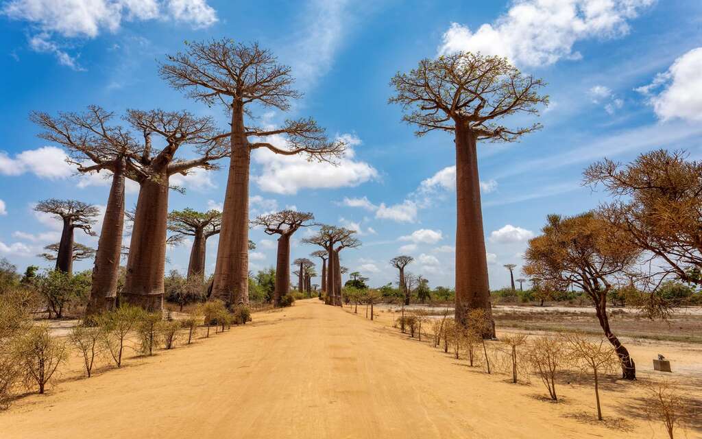Madagaskar