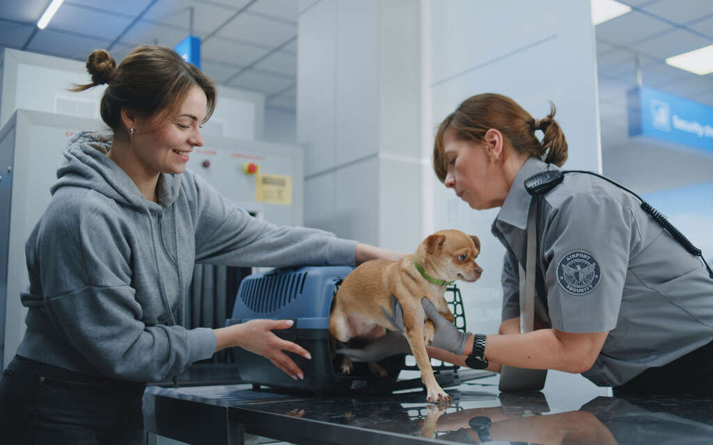 Cestování se zvířaty