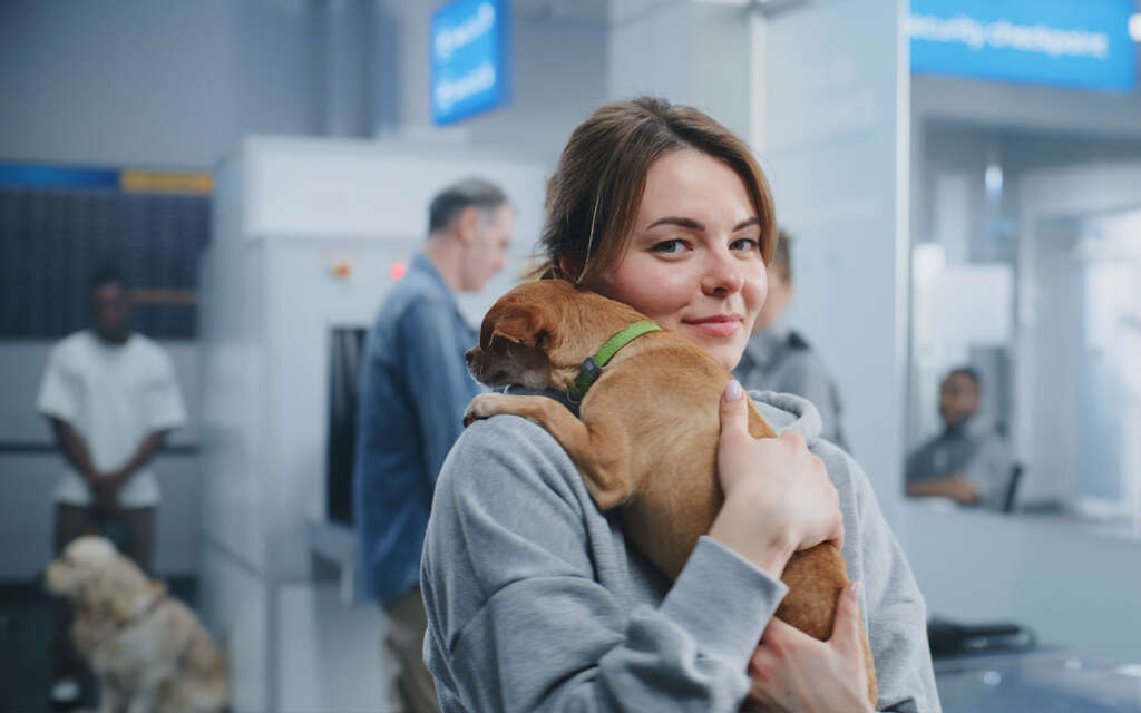 Cestování se zvířaty