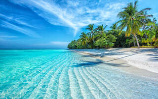 6denní plavbu Karibikem + 3 noci v Miami