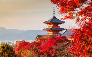 Tchaj-wan & Japonsko – Od útesů Pacifiku k hoře Fuji Image