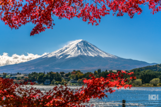 Tokio, Kjóto a Jižní Korea: To nejlepší z Japonska