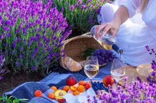 Marseille a krásy Provence | Novotel Suites Marseille Centre Euromed **** Image