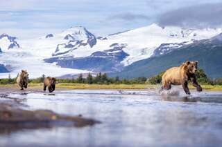 Mezi ledovci a aljašskými městy: Juneau, Tracy Arm a Ketchikan